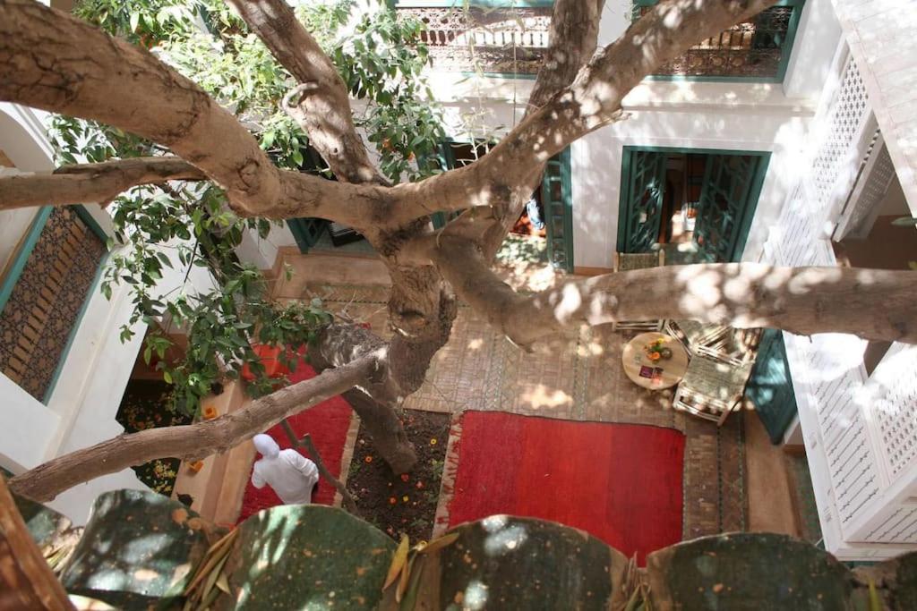 Riad Dar Zitouna Marrakesh - Entire House In Exclusivity Exterior photo